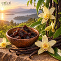 Vanilla Absolute (India) | Rich Sweet Vanilla Extract