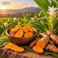Turmeric Root Oil (India) | Warm Spicy Essential Oil