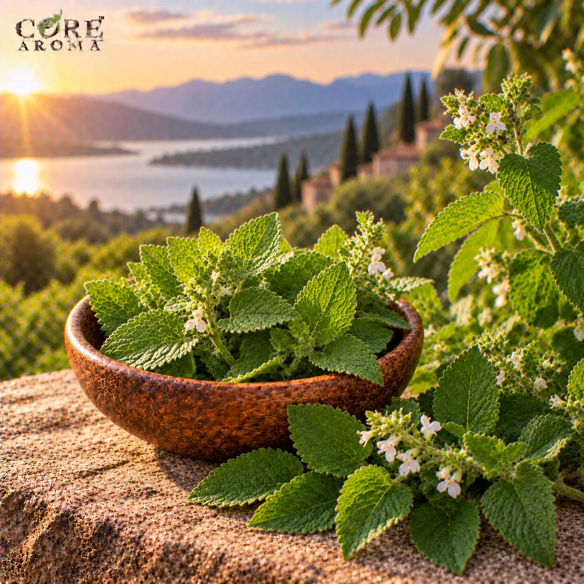 Melissa Oil (France) | Fresh Lemon Herbal Essential Oil