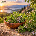 Marjoram Oil (Spain) | Herbal Aromatic Essential Oil