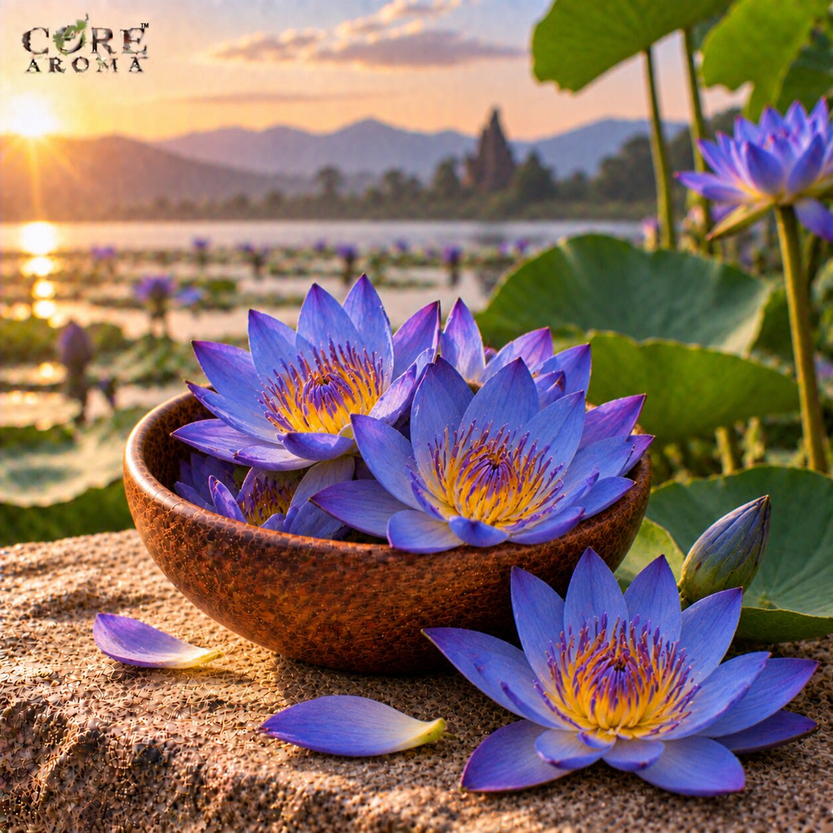 Blue Lotus Oil (India) | Soft Floral Essential Oil