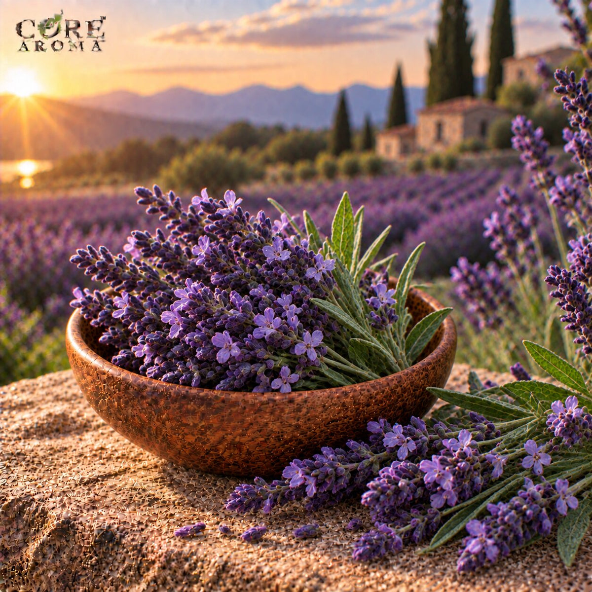 Lavender Oil (India) | Fresh Floral Herbal Essential Oil